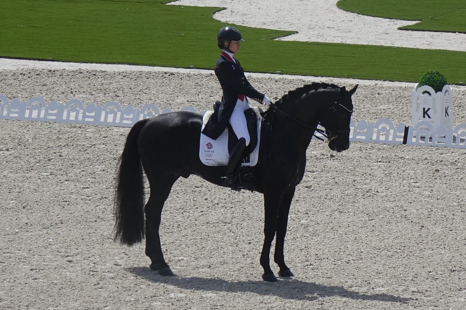 Fry Reclaims Dressage World Title on Glamourdale