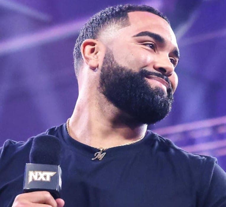 Sharaf Stuns Steveson with 12-Second Knockout at UFC 331