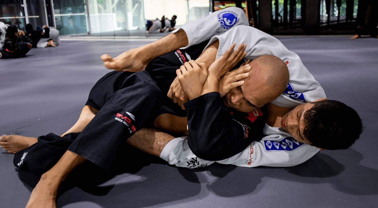 Maciel Wins Jiu-Jitsu Gold, First Father-Son Champions