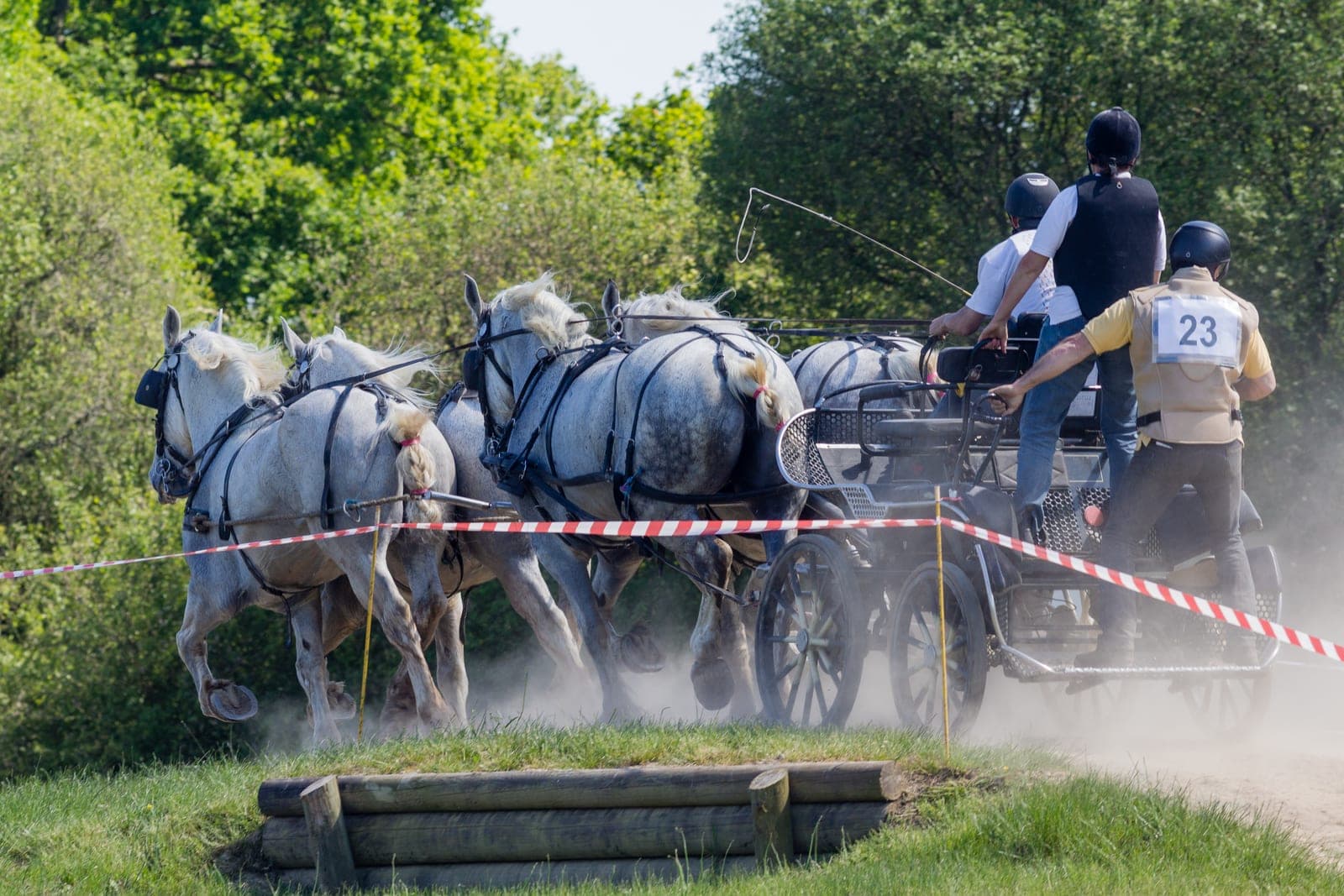 Exell Wins Four-in-Hand Driving World Title