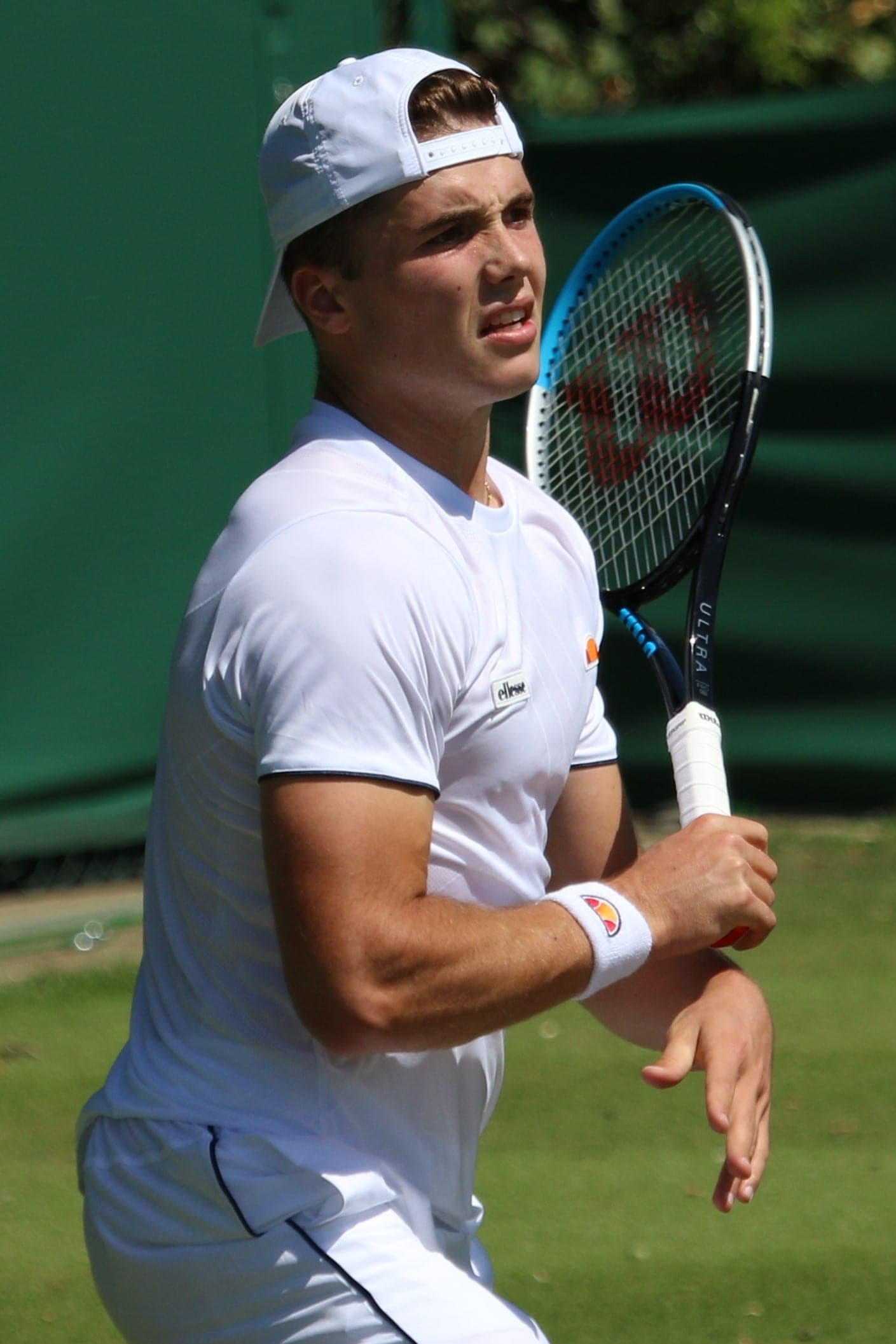 Fery Reaches Wimbledon Semifinals as a Wild Card