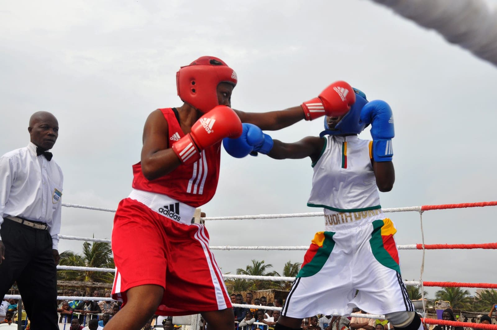 Thorslund Unifies All Four Bantamweight World Belts
