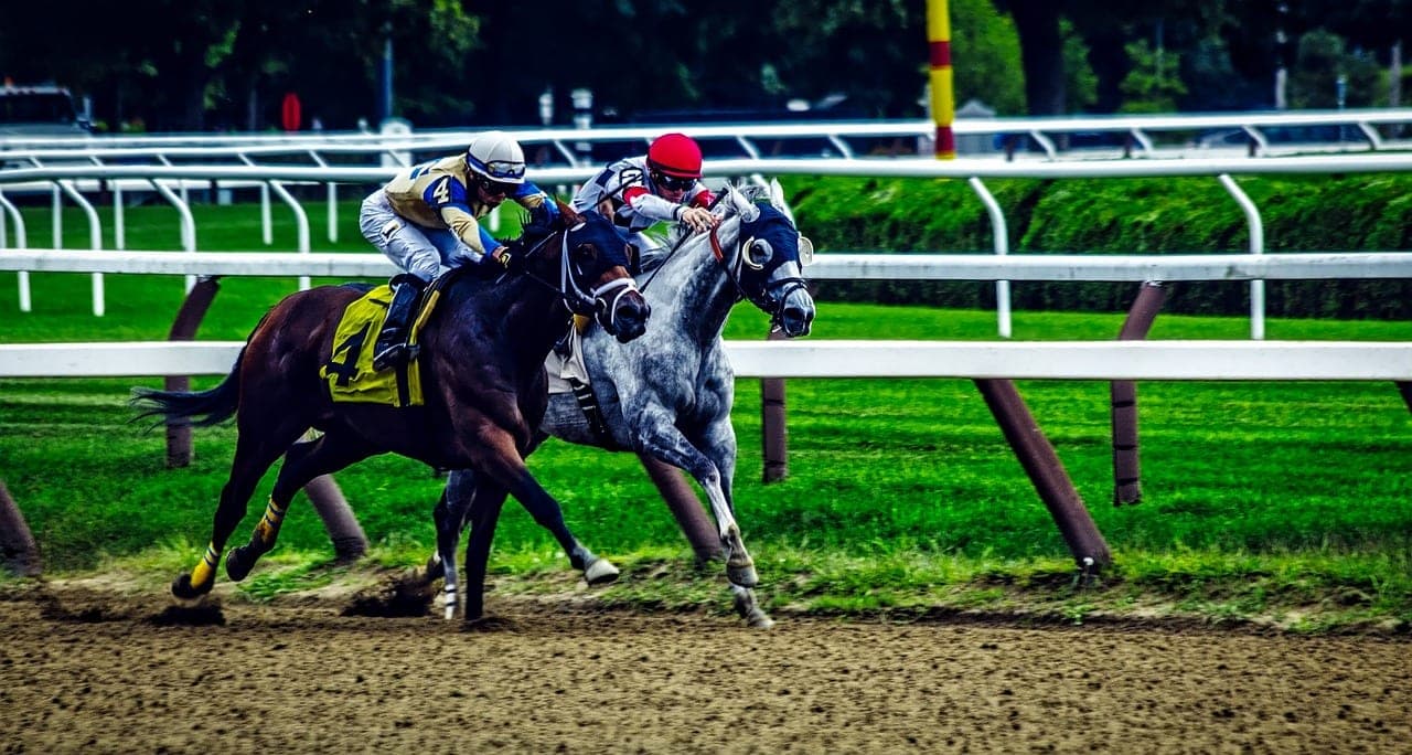 Daryz Repeats in Arc, First Colts' Double Since 1978
